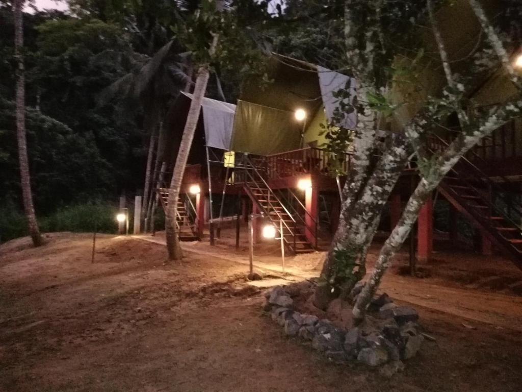 Zahrada ubytování 360 Rainforest