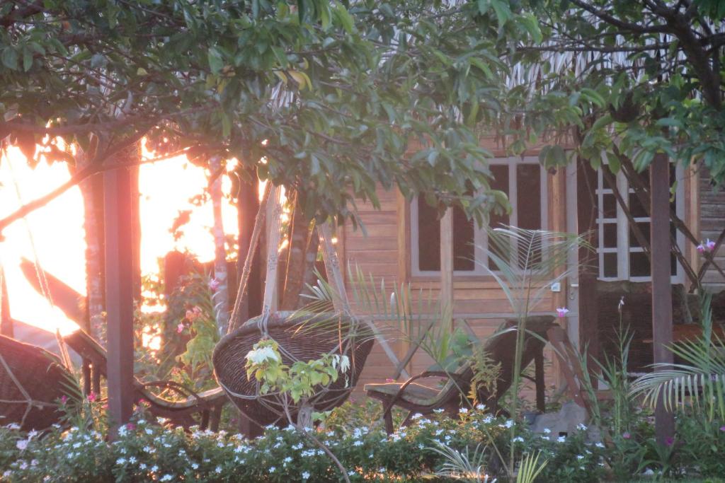  Alta Vista Amazon Lodge
