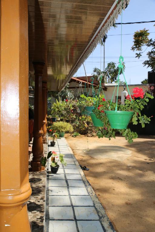 Cinnamon Homestay ella - 9