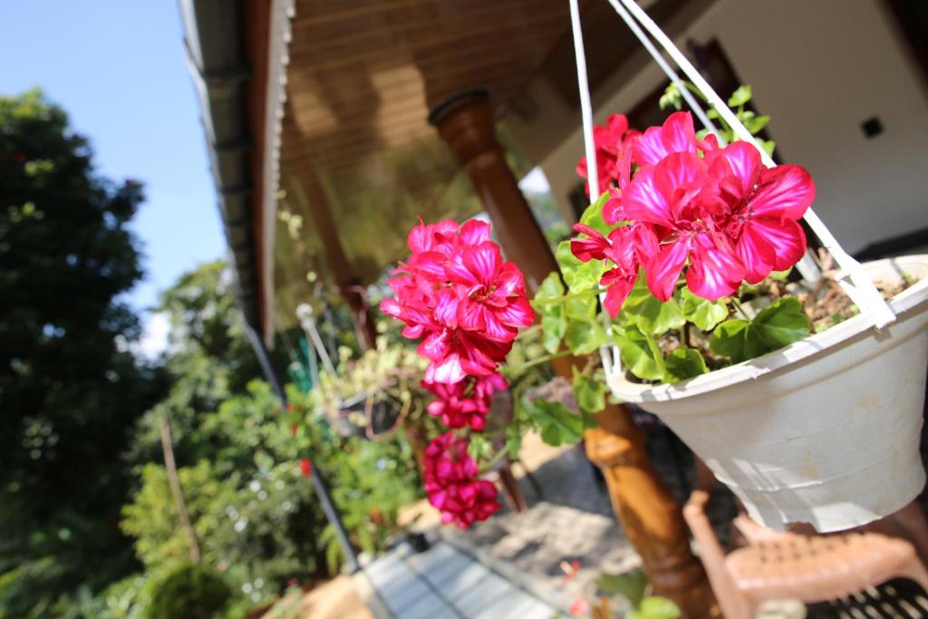 Cinnamon Homestay ella - 4