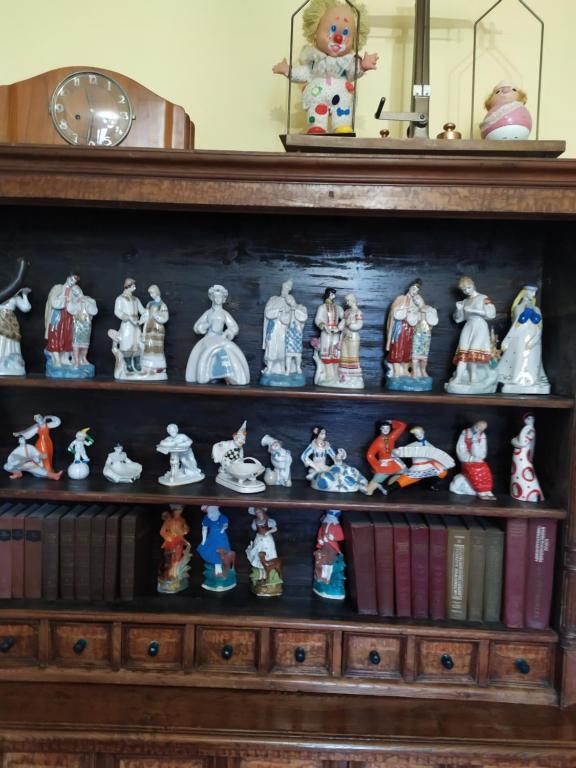 a shelf with a bunch of figurines and books at Vilni Kimnaty in Mukacheve