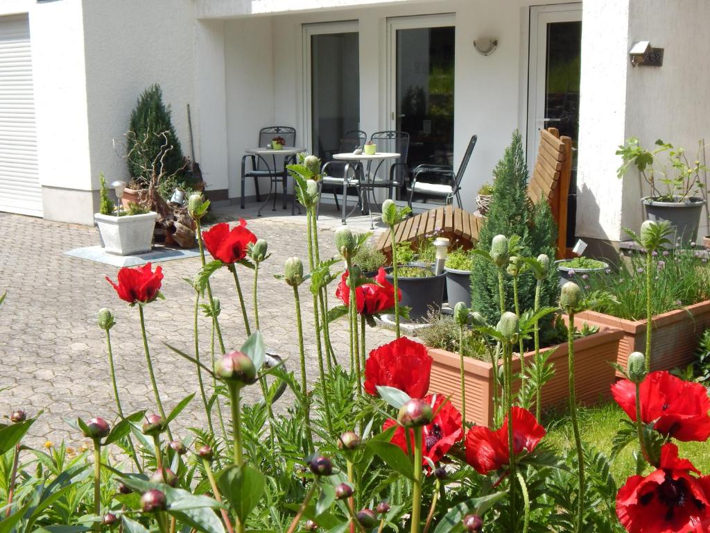 Zahrada ubytování Hotel garni Am Brunnenplatz