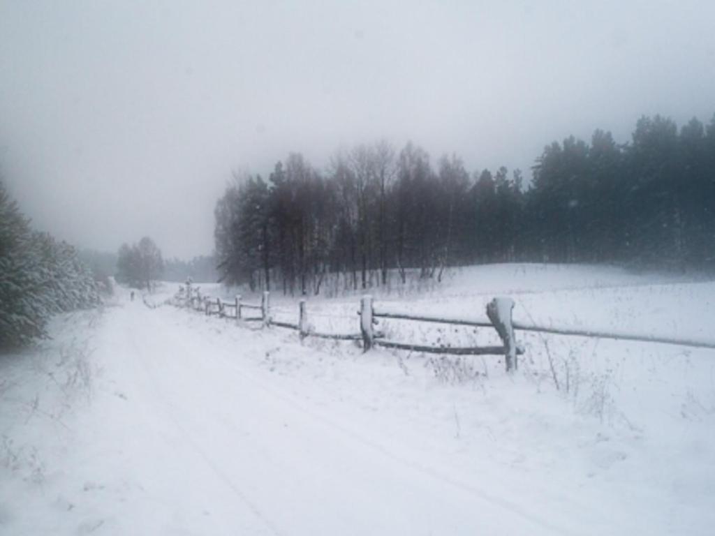 Pałac Pacółtówko v zime