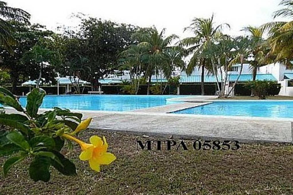 a picture of a swimming pool with a yellow flower at Villa Raybaud Résidence Les Cygnes in Pereybere