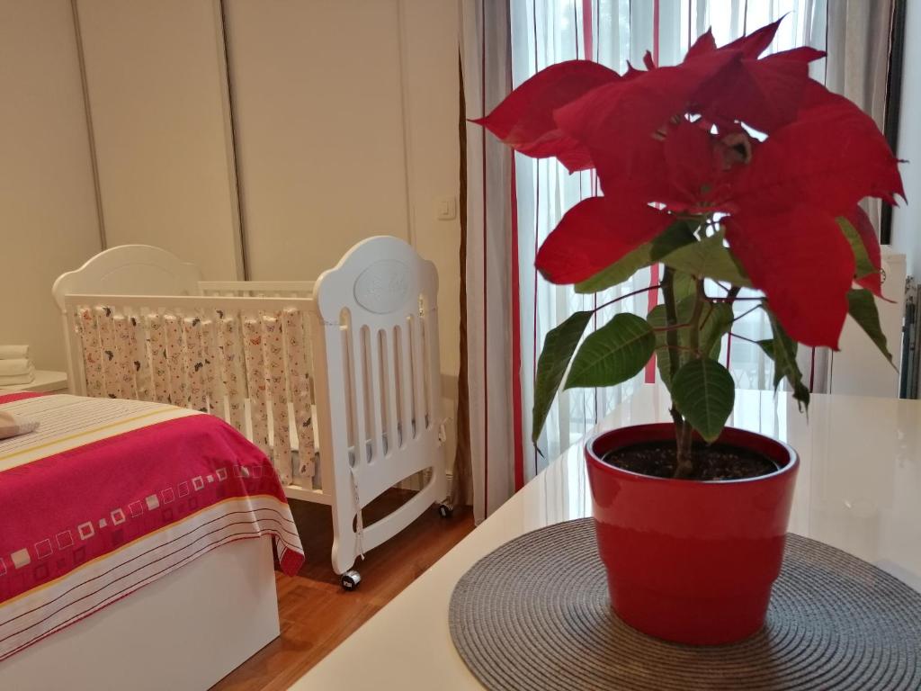 Posteľ alebo postele v izbe v ubytovaní Apartment Petar