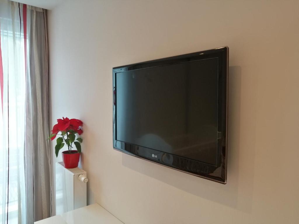 Televízia a/alebo spoločenská miestnosť v ubytovaní Apartment Petar