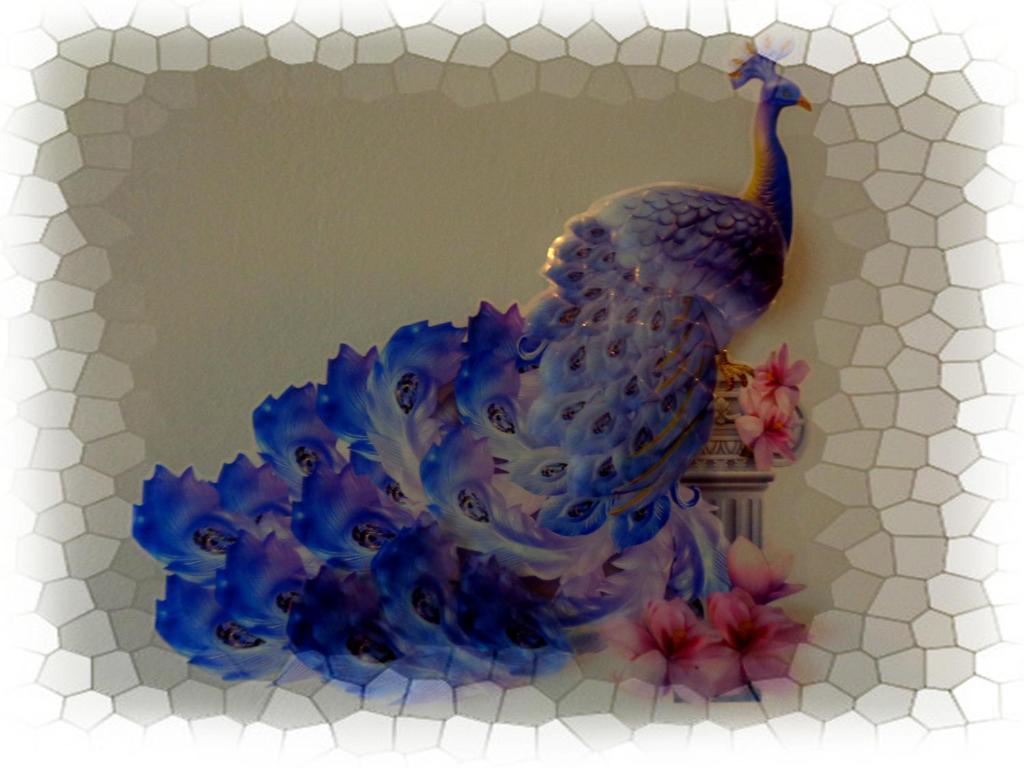 Kép ~Peacock House~ szállásáról Ípszoszban a galériában