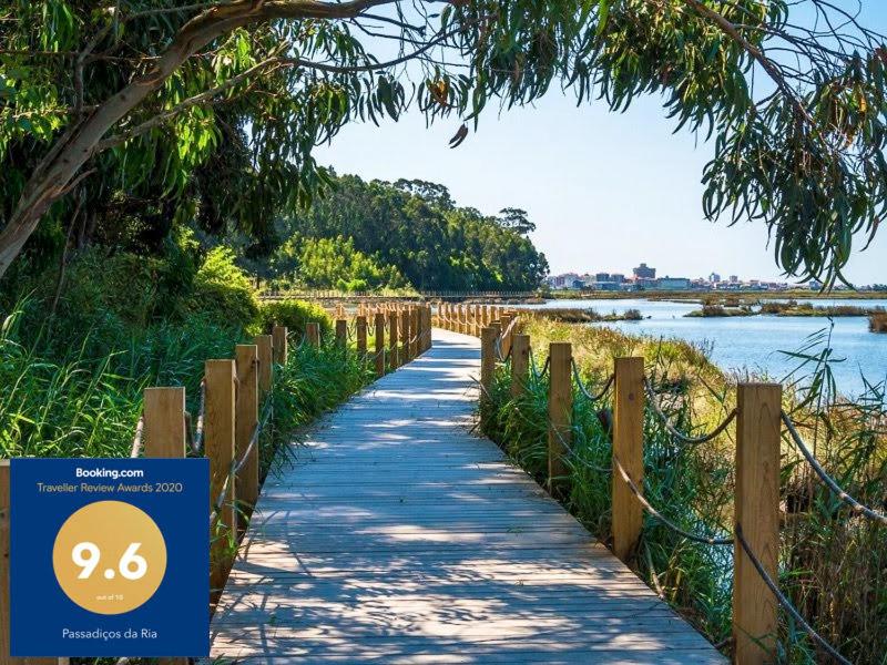 Passadiços da Ria - 15