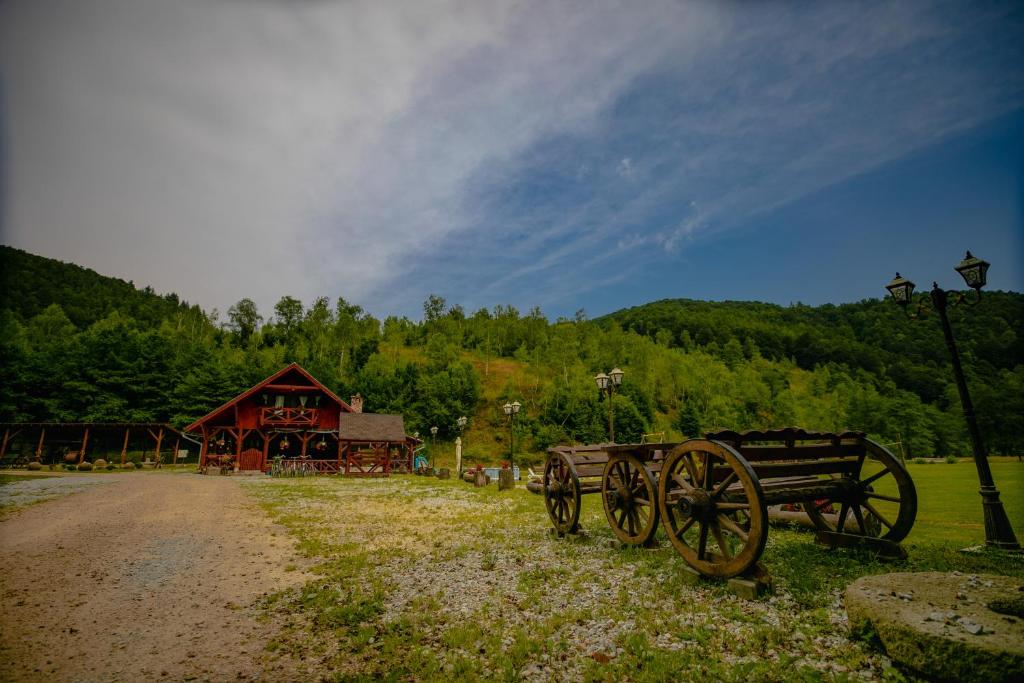 Peisaj natural din apropierea acestei case de vacanță