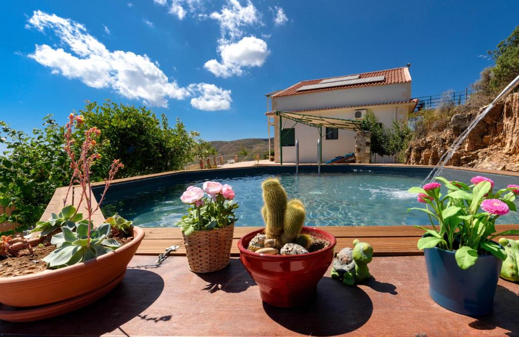 een groep potplanten op een patio met een zwembad bij Best View Mountain Villa in Teménia