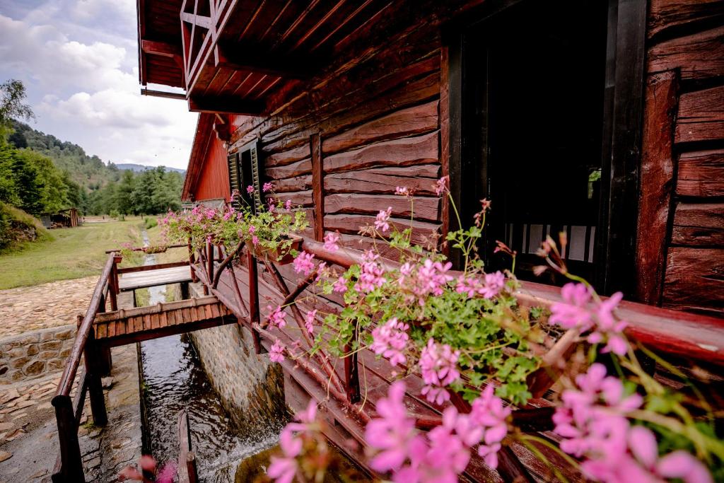 Peisaj natural din apropierea acestei case de vacanță