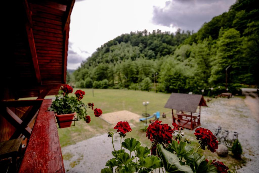 Peisaj natural din apropierea acestei case de vacanță