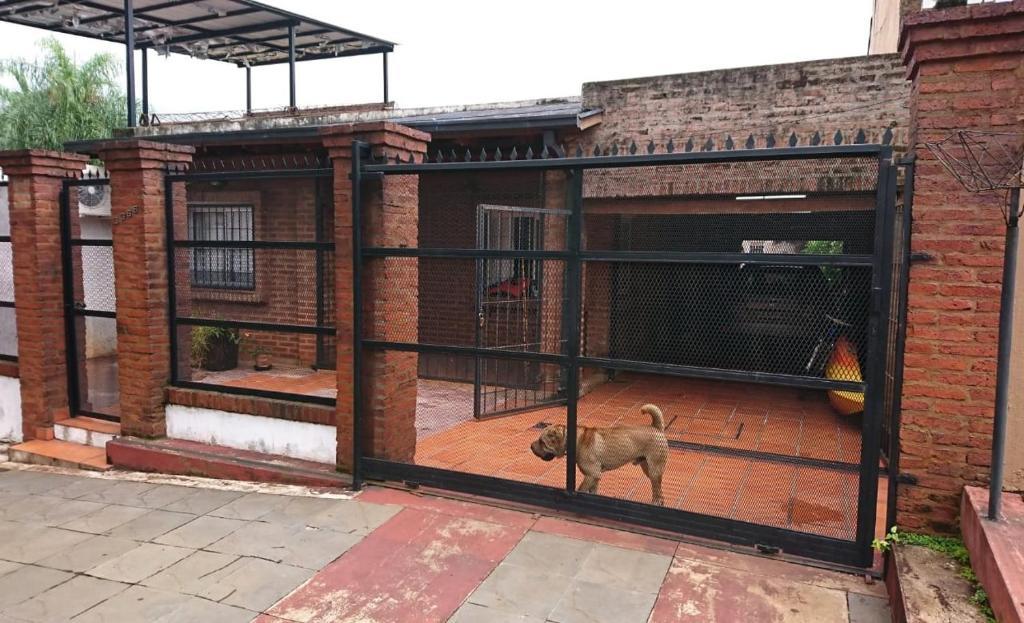 a dog standing in a large gate in a building at Casa familiar en Posadas in Posadas