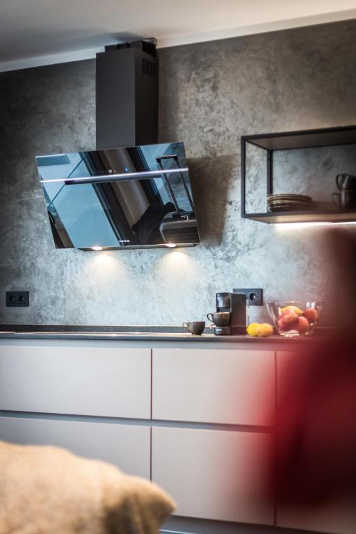 Kuchyň nebo kuchyňský kout v ubytování PRIMERA Apartments