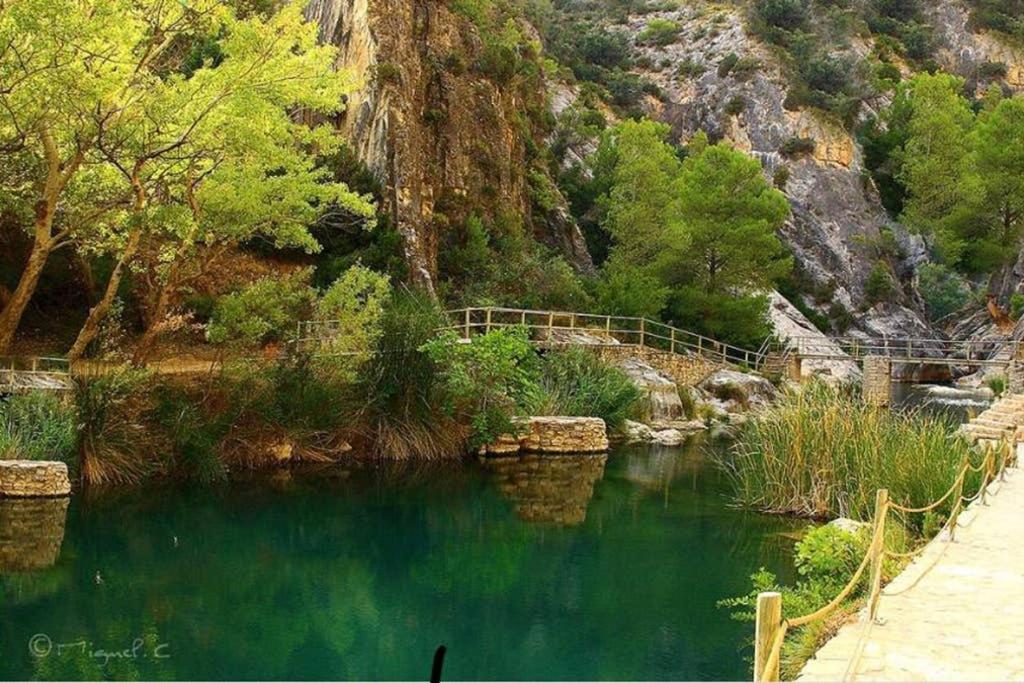 a pool of emerald green water next to a mountain at Kal massis in Pinell de Bray