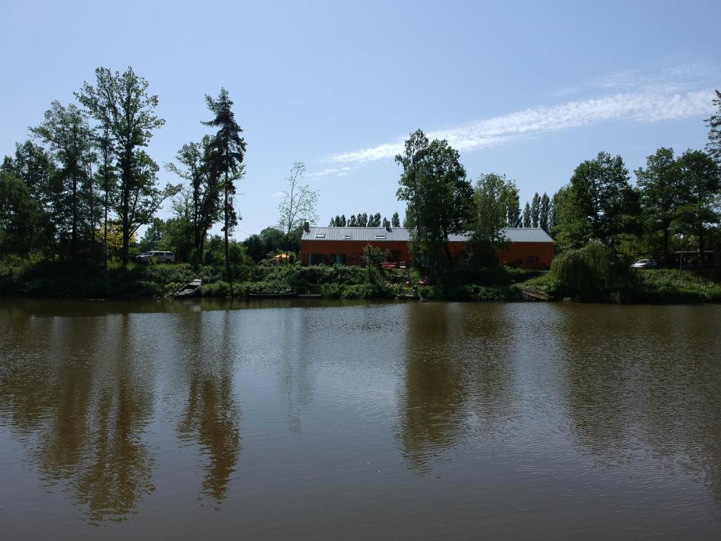 uma grande massa de água com um edifício ao fundo em Florennes Gîte neuf 150 M2 devant un grand lac privé de 2 hectares poissonneux au milieu des bois em Florennes