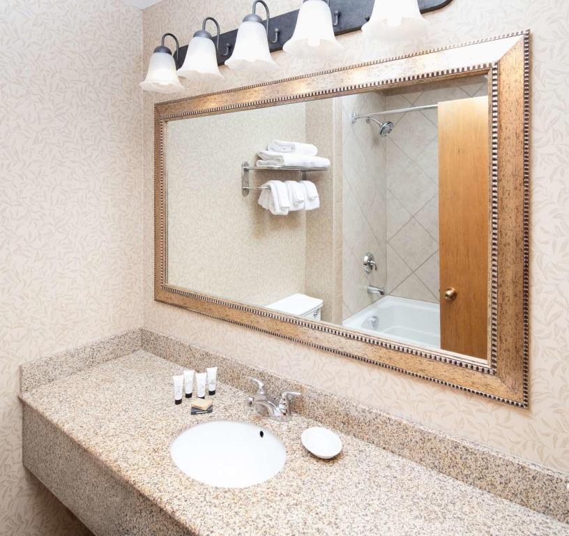 Koupelna v ubytování Red Lion Hotel Kennewick Columbia Center