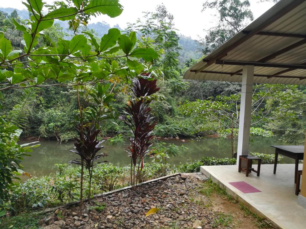 Sinharaja Vini Villa - 10