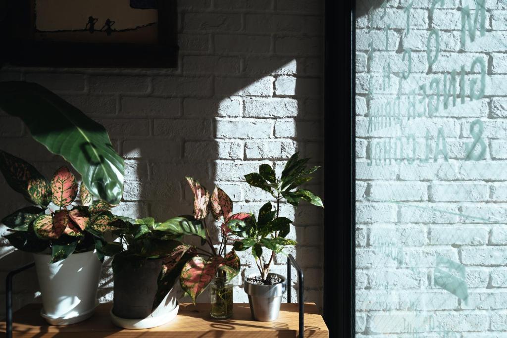 three potted plants sitting on a table next to a brick wall at Hotel Pacific Kanazawa in Kanazawa
