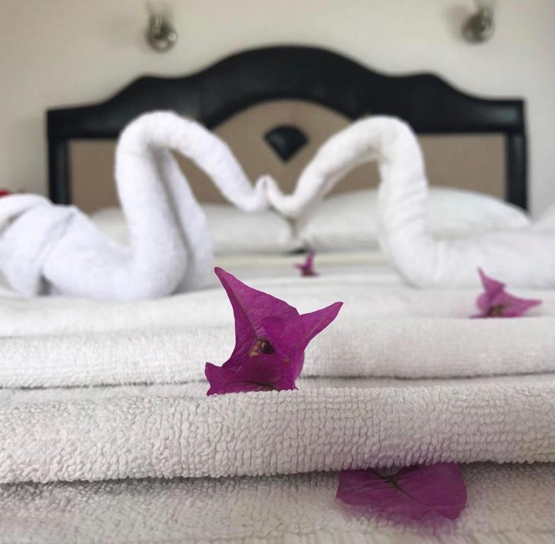 Postel nebo postele na pokoji v ubytování Hotel Uygar
