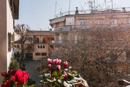 a view of a building from a window with flowers at Irodotou Studio in Thessaloniki