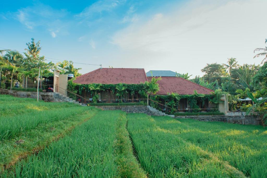 Zahrada ubytování Pangkung Sari Bed and Breakfast