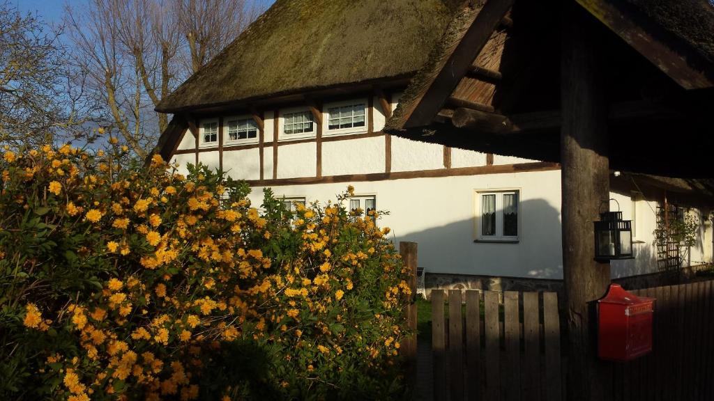 una casa con un montón de flores amarillas delante de ella en Gemütliche Ferienwohnung unterm Reetdach, en Boiensdorf