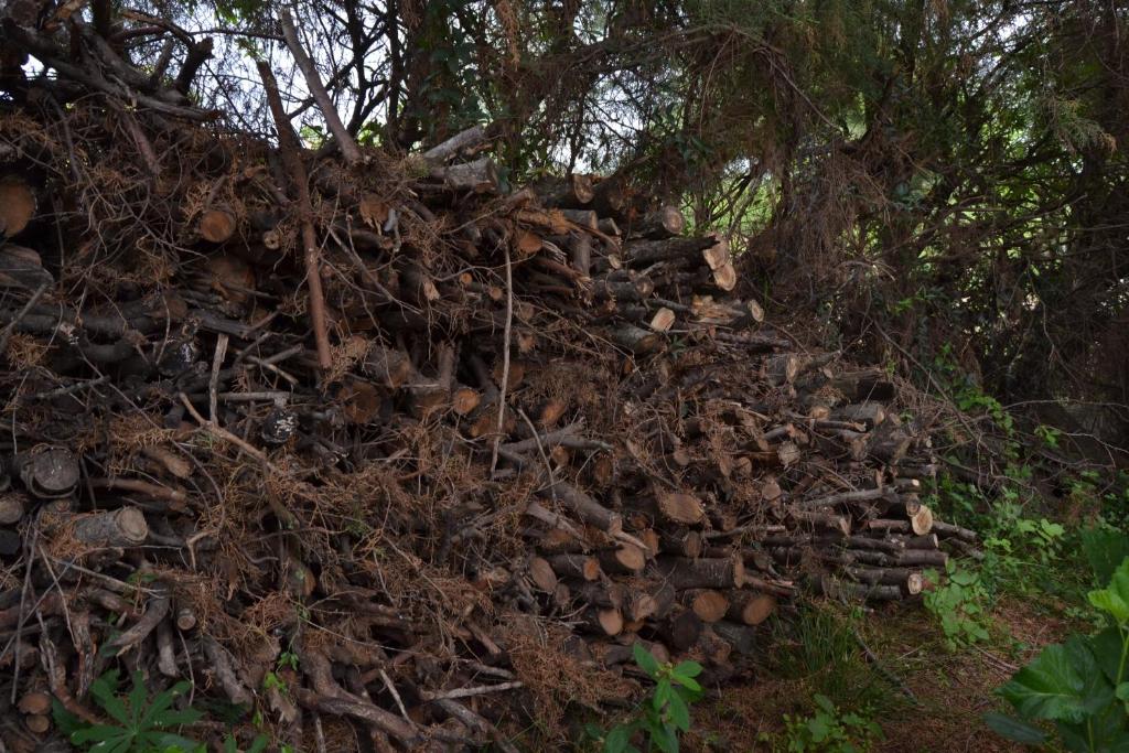 Casa de las 3 chimeneas