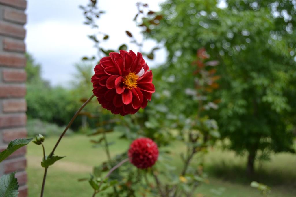 Casa de las 3 chimeneas