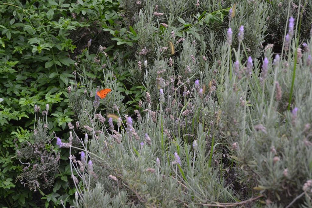 Casa de las 3 chimeneas