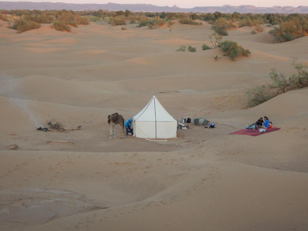 Tente De Luxe Bivouac Bader Monika Maroc Tamegroute Booking Com Tente De Luxe Bivouac Bader Monika Maroc Tamegroute Booking Com