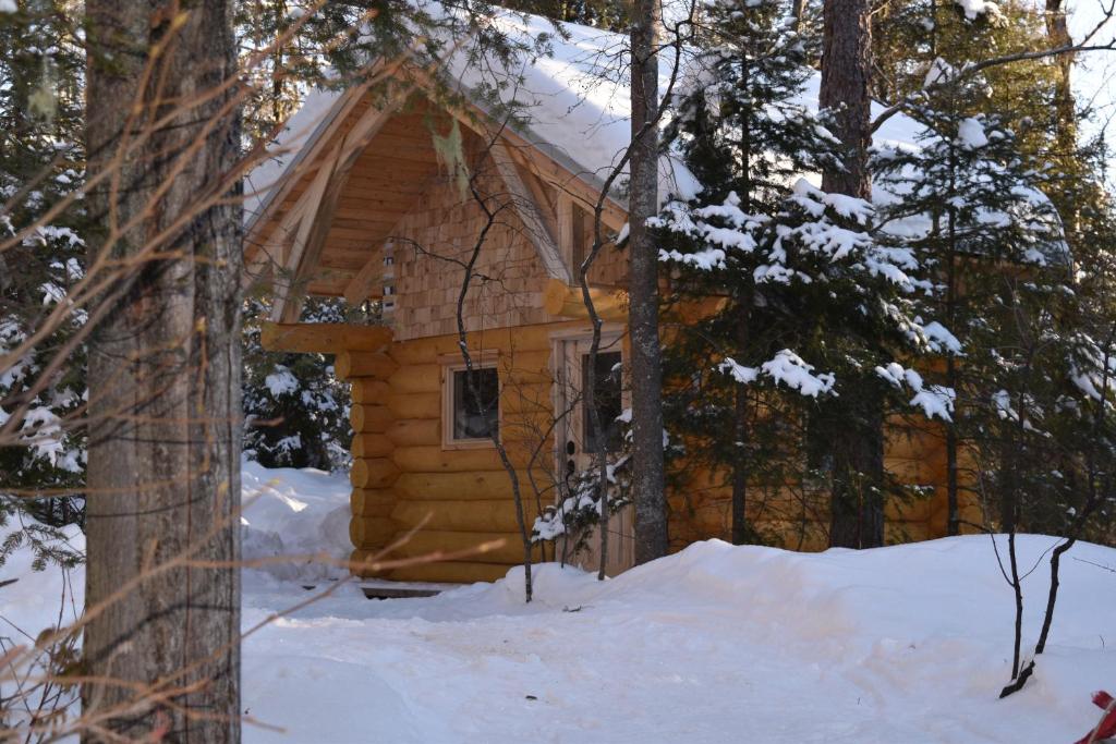 una cabaña de madera en el bosque en la nieve en Bois Rond Expérience, en Saguenay