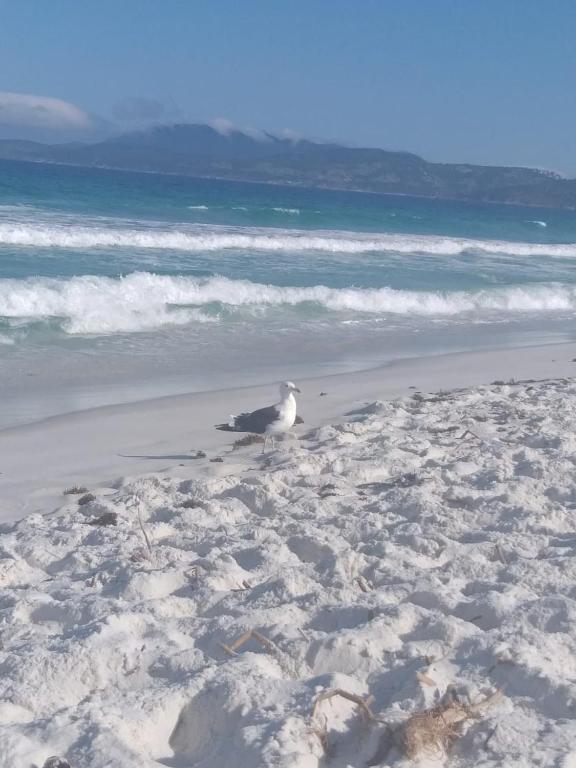  Apto Pé na Areia - Wi-Fi Gratuito - Tranquilidade à beira mar