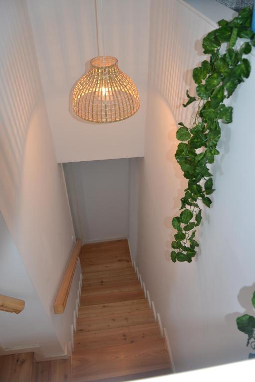 Olival 54 Apartments - 16