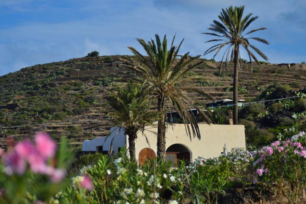 uma casa com duas palmeiras em frente a uma colina em RADYSHAMS DAMMUSI LE PALME & BAIT em Pantelleria