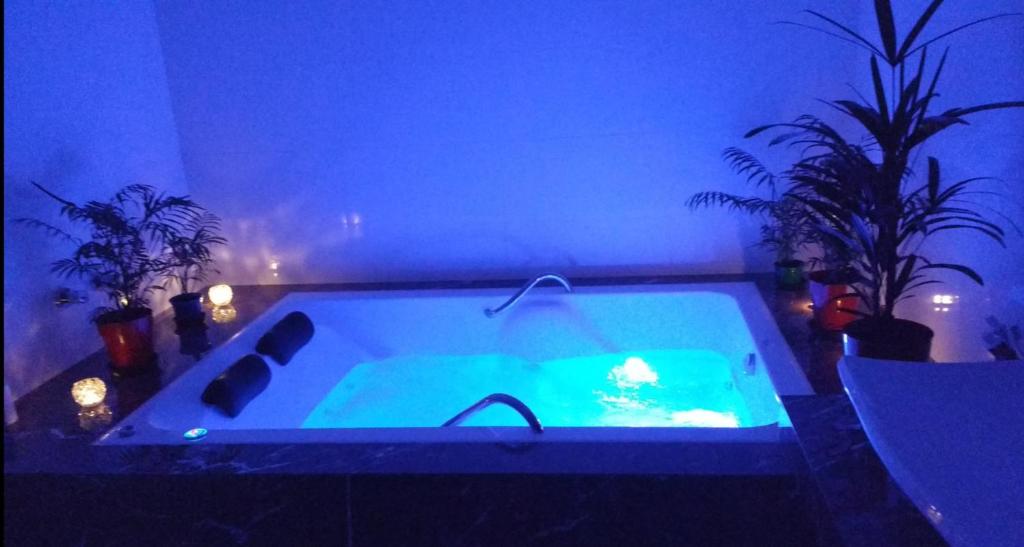  Brotas Vip Residence