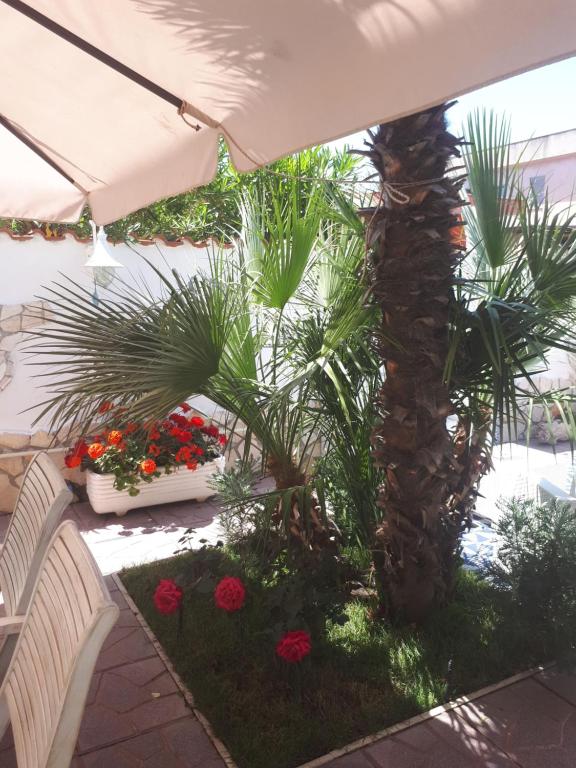 Zdjęcie z galerii obiektu Domus Claudio Garden w mieście Fiumicino