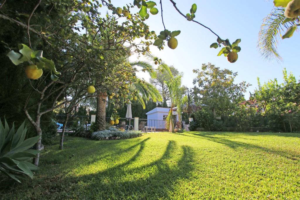 A garden outside Villa El Hogar
