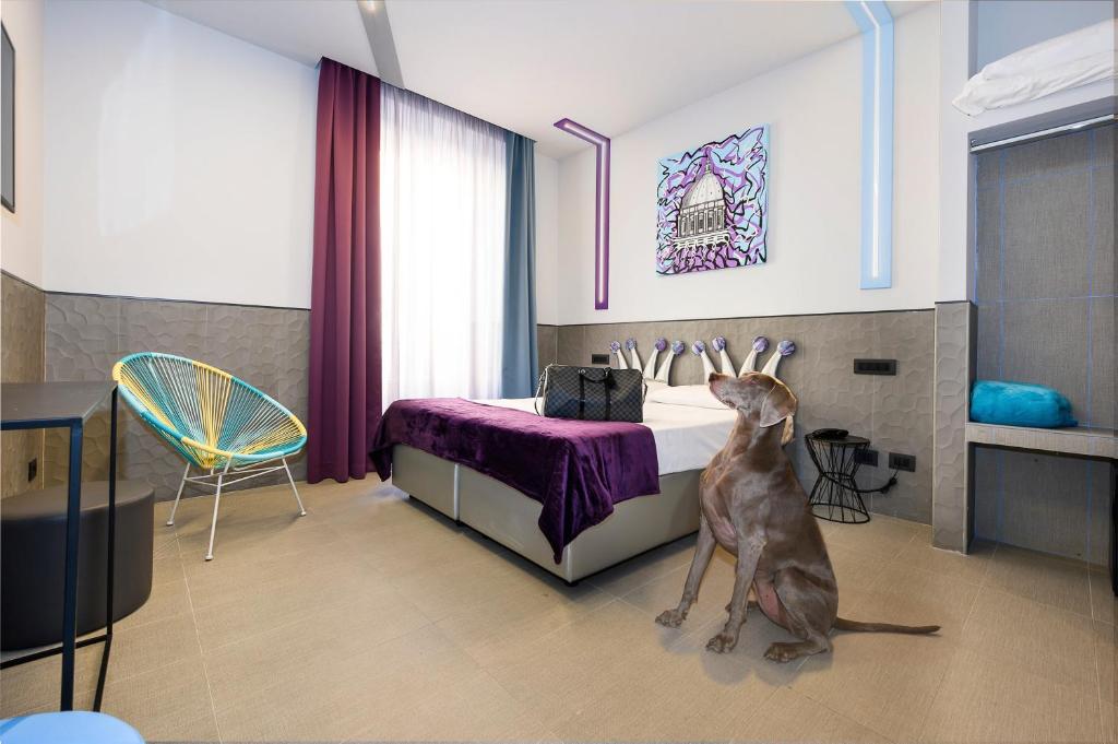 Domácí mazlíčci ubytovaní s hosty v ubytování Hotel Relais Dei Papi