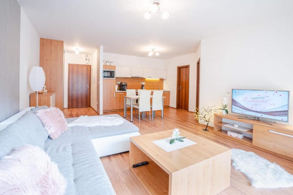 TV a/nebo společenská místnost v ubytování Apartmán HOREHRONIE
