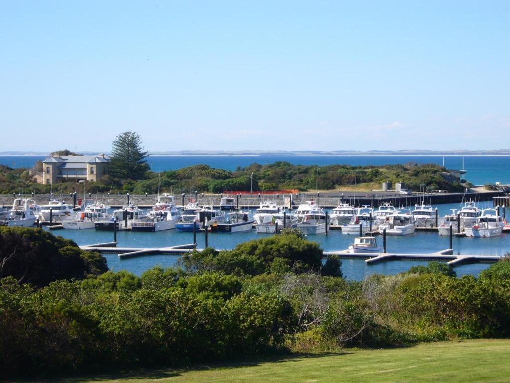 un montón de barcos atracados en un puerto deportivo en Harbour View Motel, en Robe