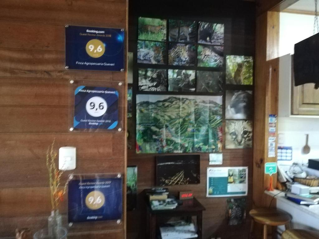 TV a/nebo společenská místnost v ubytování Finca Queveri