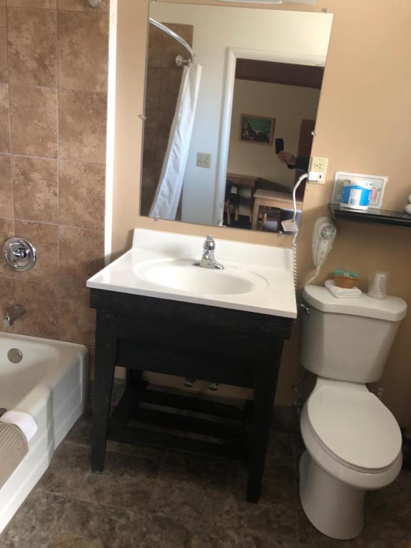 a bathroom with a sink and a toilet and a mirror at Meadowcliff Lodge Coleville in Coleville