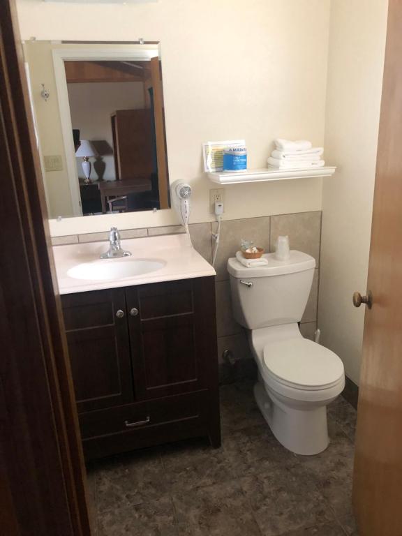 a bathroom with a toilet and a sink and a mirror at Meadowcliff Lodge Coleville in Coleville