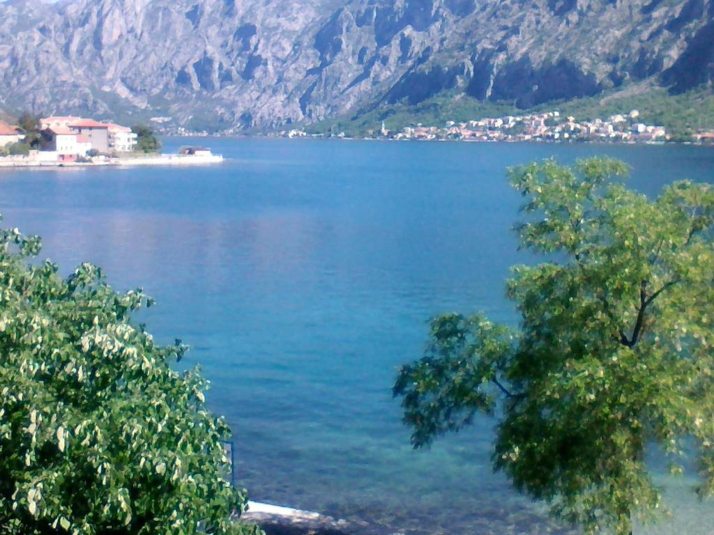 a view of a large body of water with mountains at Apartmani Braca2 in Kotor