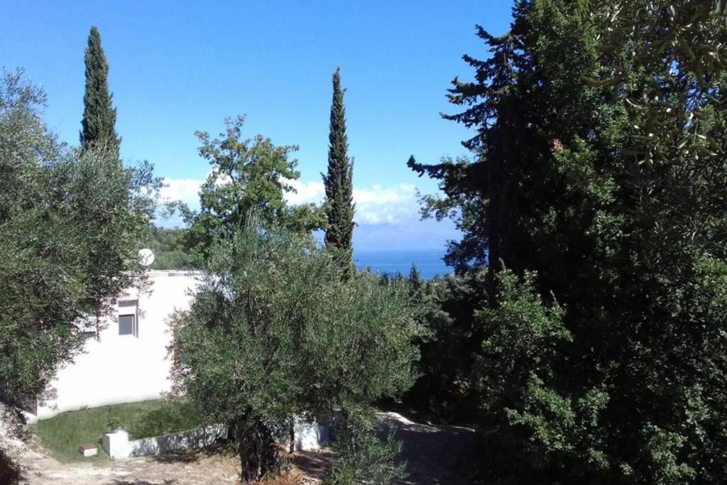 a view of a hill with trees and the ocean at LIakada Apartments in Karousádes