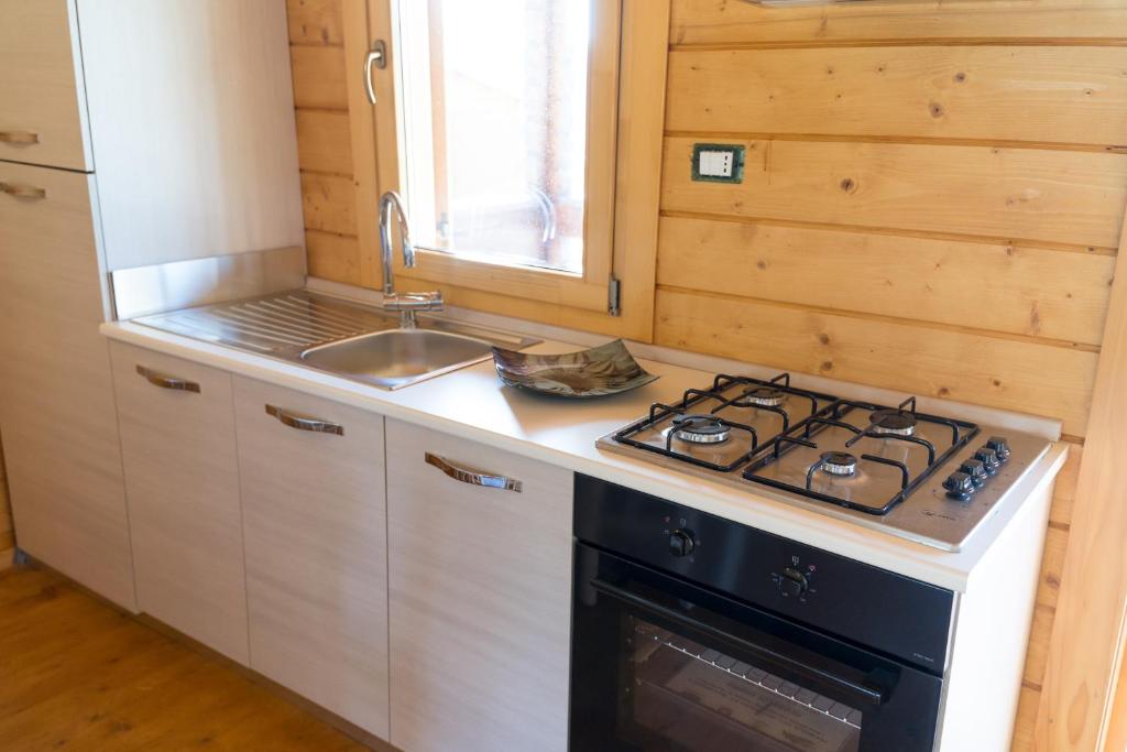 Kuchyň nebo kuchyňský kout v ubytování Chalet Tenuta Lacco