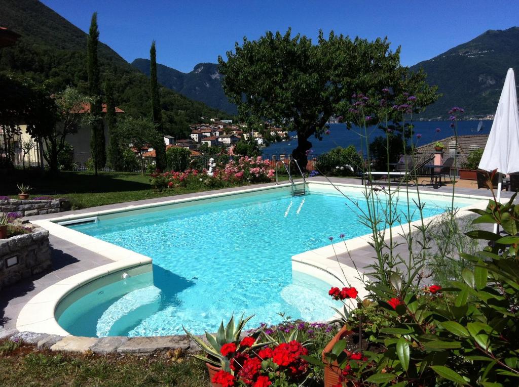 a swimming pool in a garden with mountains in the background at B&B Cherry En Rose in Lezzeno