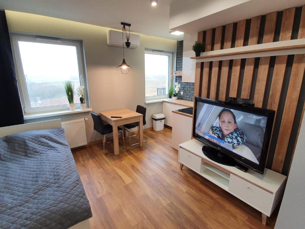 Televízia a/alebo spoločenská miestnosť v ubytovaní Nowe Apartamenty Iława Odnowiciela z klimatyzacją