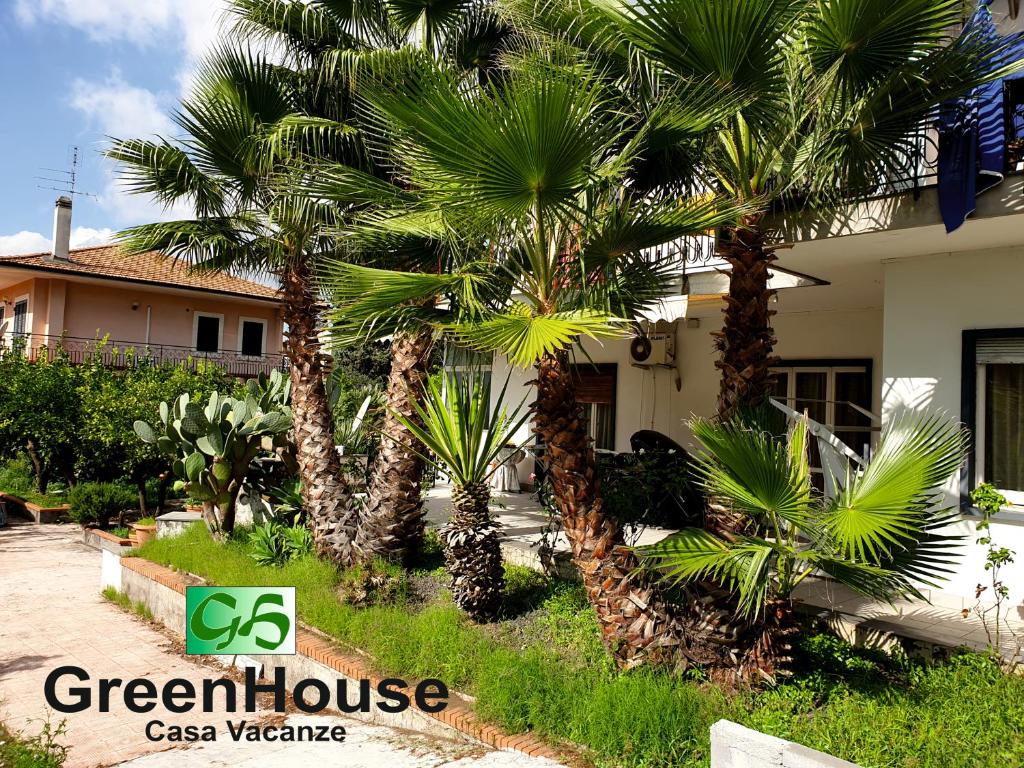 une maison avec des palmiers devant elle dans l'établissement Greenhouse, à Mascalucia